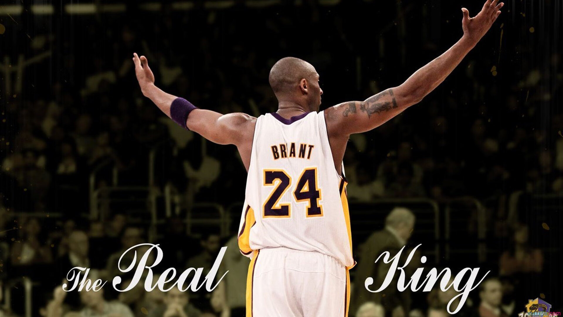 世界羽毛球锦标赛焦点对决不断，世界羽毛球锦标赛万维百科